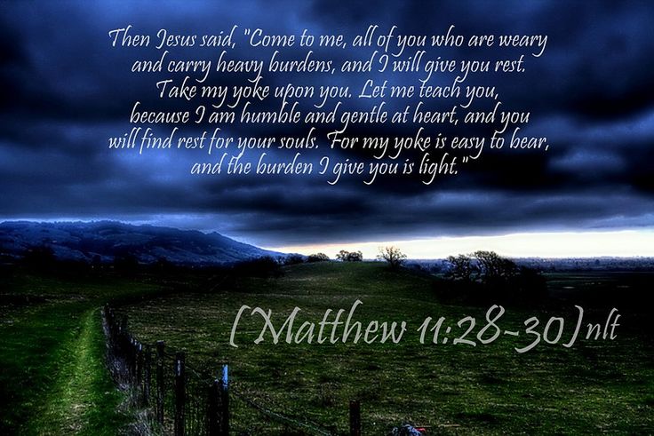 214d28fb2981e786b21e970ffff02459--bob-life